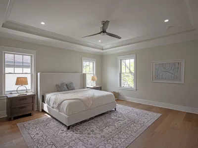 Primary bedroom suite with tray ceiling