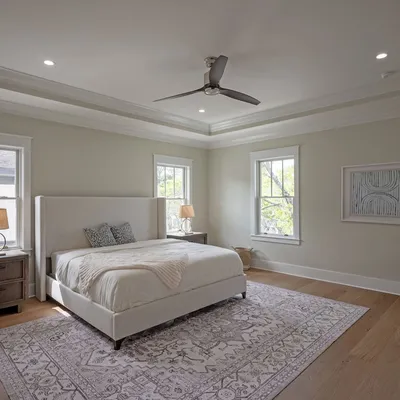 Primary bedroom suite with tray ceiling